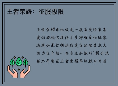 王者荣耀：征服极限